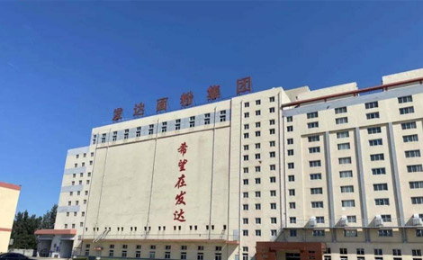 發(fā)達(dá)面粉集團(tuán)